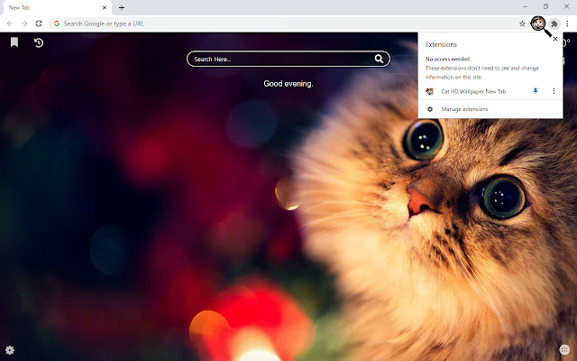 Cat HD Wallpaper New Tab chrome谷歌浏览器插件_扩展第2张截图
