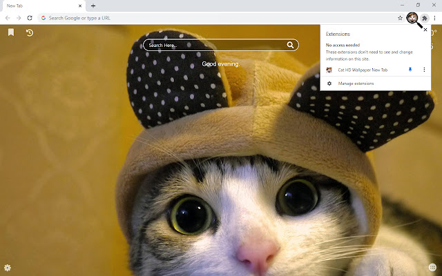 Cat HD Wallpaper New Tab chrome谷歌浏览器插件_扩展第4张截图