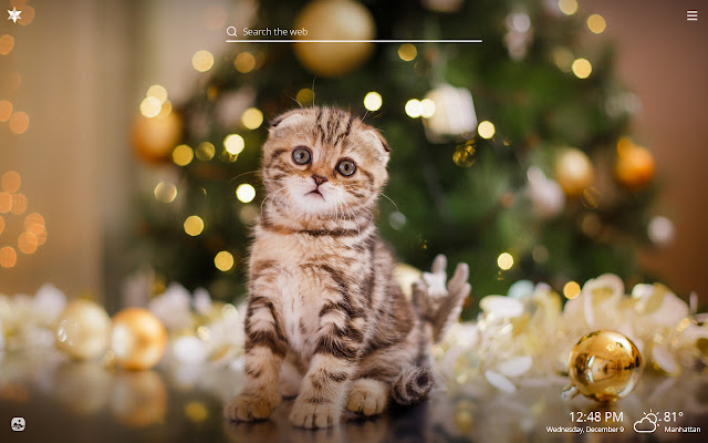 Christmas Cats HD Wallpapers New Tab Theme chrome谷歌浏览器插件_扩展第1张截图
