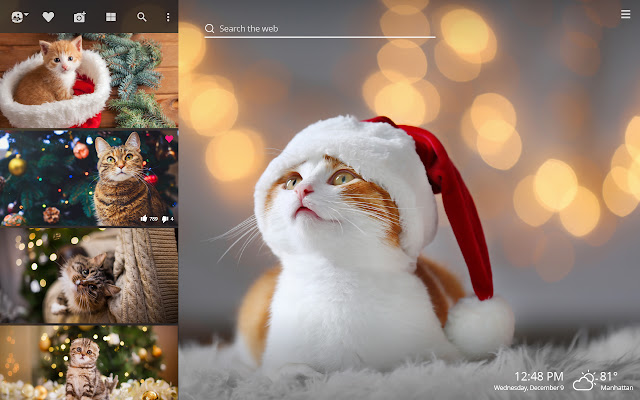 Christmas Cats HD Wallpapers New Tab Theme chrome谷歌浏览器插件_扩展第2张截图