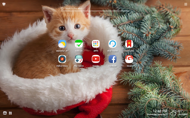 Christmas Cats HD Wallpapers New Tab Theme chrome谷歌浏览器插件_扩展第3张截图