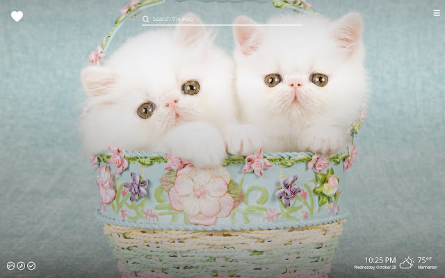 Cute Kittens HD Wallpaper New Tab Theme chrome谷歌浏览器插件_扩展第3张截图