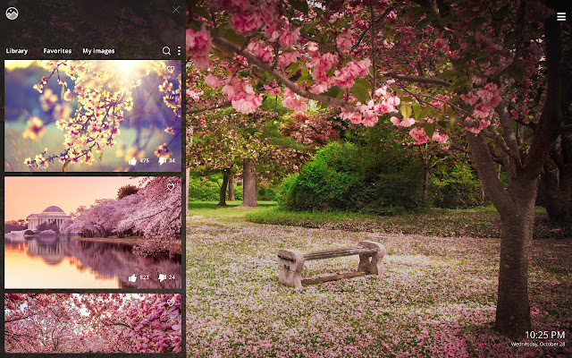 Cherry Blossom HD Wallpapers New Tab Theme chrome谷歌浏览器插件_扩展第2张截图