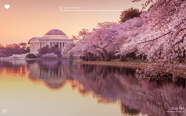 Cherry Blossom HD Wallpapers New Tab Theme chrome谷歌浏览器插件_扩展第4张截图
