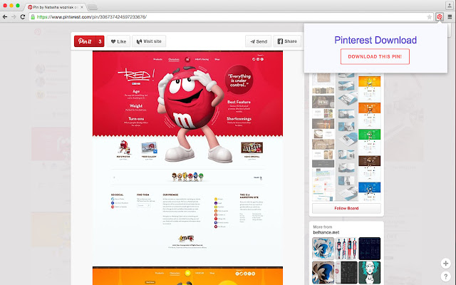 Penguin's Pinterest Downloader chrome谷歌浏览器插件_扩展第1张截图