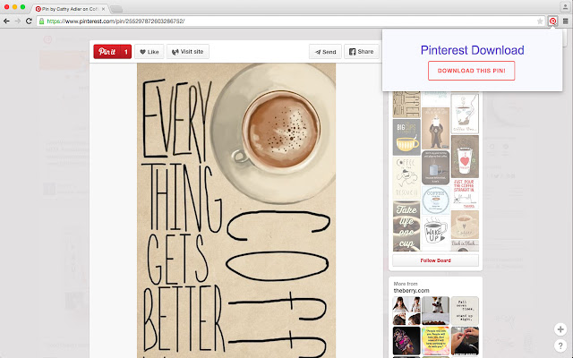 Penguin's Pinterest Downloader chrome谷歌浏览器插件_扩展第4张截图