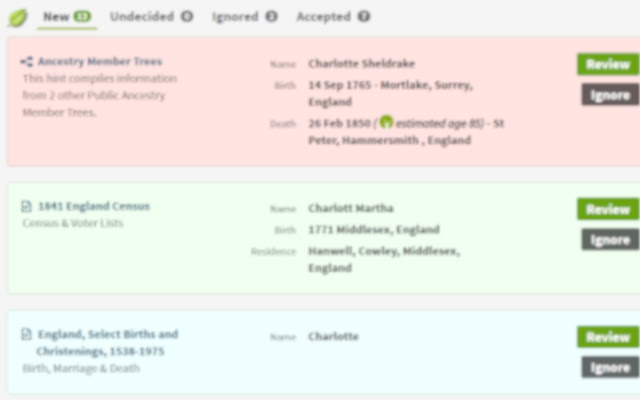 Histori chrome谷歌浏览器插件_扩展第2张截图