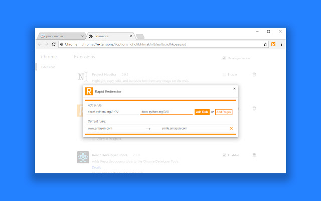 Rapid Redirector chrome谷歌浏览器插件_扩展第4张截图