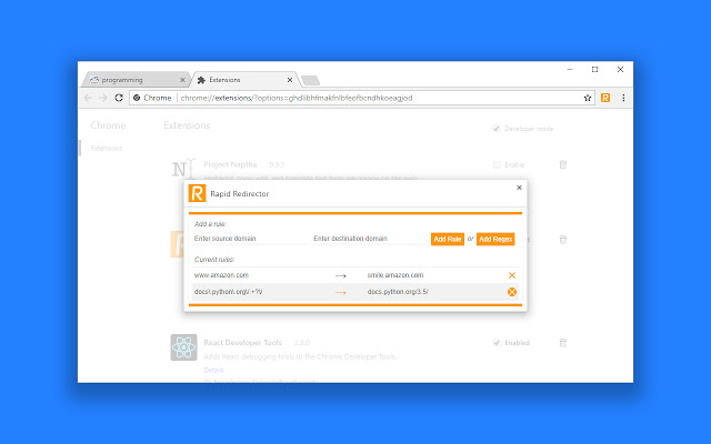 Rapid Redirector chrome谷歌浏览器插件_扩展第5张截图