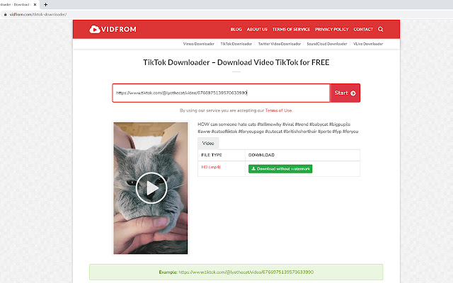 TikTok Downloader - Download Video TikTok chrome谷歌浏览器插件_扩展第2张截图