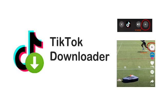 TikTok Downloader chrome谷歌浏览器插件_扩展第1张截图