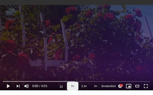 Screenshot YouTube chrome谷歌浏览器插件_扩展第2张截图