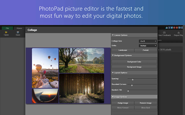 PhotoPad Photo Editor Cloud Edition chrome谷歌浏览器插件_扩展第3张截图