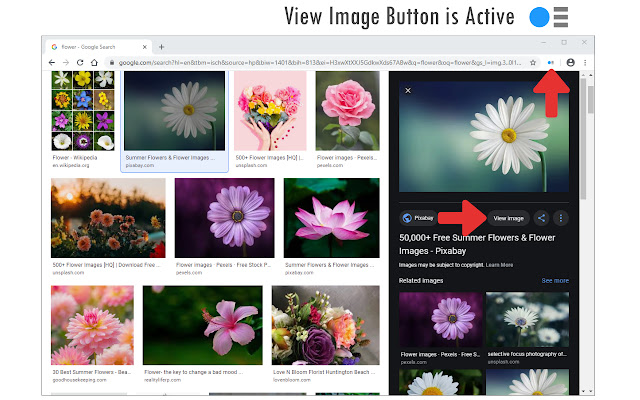 View Image Button chrome谷歌浏览器插件_扩展第1张截图