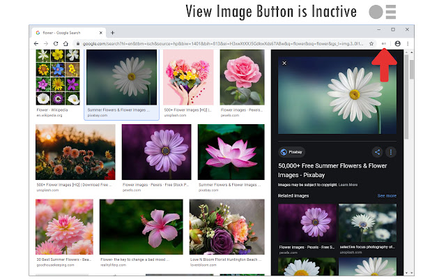View Image Button chrome谷歌浏览器插件_扩展第2张截图