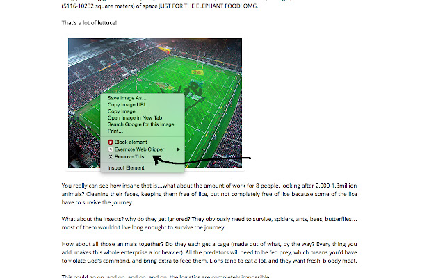 removeanything chrome谷歌浏览器插件_扩展第1张截图