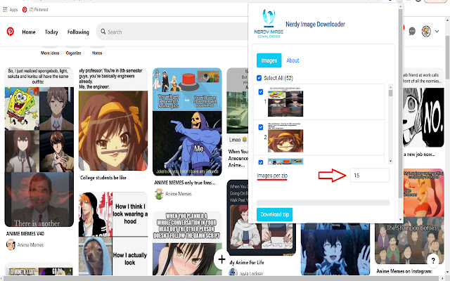 Nerdy Image Downloader chrome谷歌浏览器插件_扩展第2张截图
