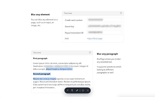 BlurPage chrome谷歌浏览器插件_扩展第1张截图