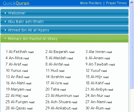 QuickQuran chrome谷歌浏览器插件_扩展第3张截图