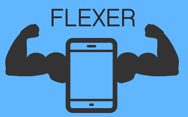 Flexer chrome谷歌浏览器插件_扩展第1张截图