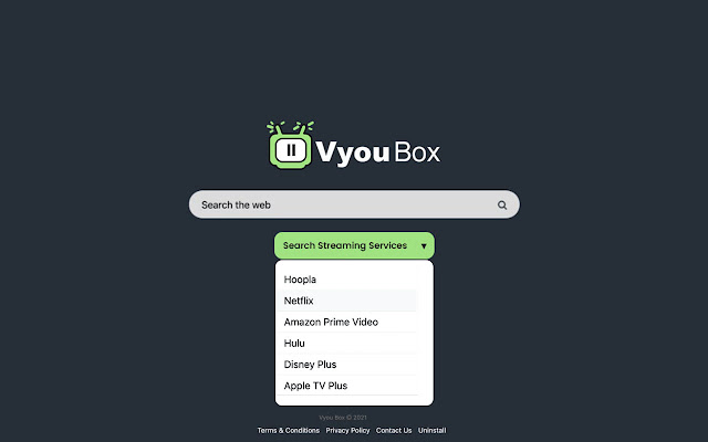 Vyou Box chrome谷歌浏览器插件_扩展第2张截图