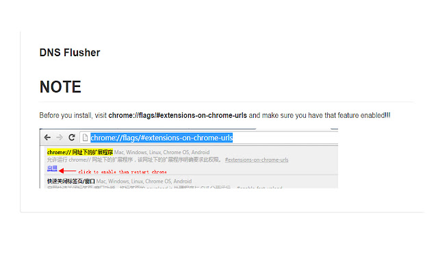 DNS Flusher chrome谷歌浏览器插件_扩展第1张截图
