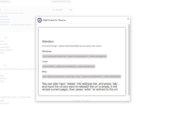 DNS Flusher for Chrome chrome谷歌浏览器插件_扩展第1张截图