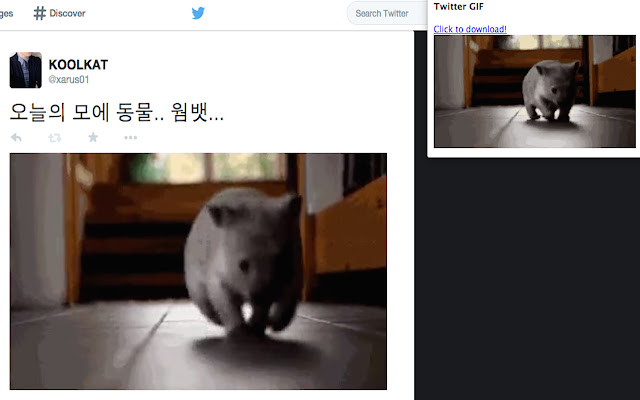 Twitter GIF chrome谷歌浏览器插件_扩展第1张截图