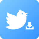 Twitter Video Downloader - Twitter to MP4