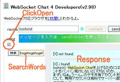 WebSocket Chat chrome谷歌浏览器插件_扩展第3张截图