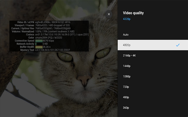 YouTube™ for TV 4K chrome谷歌浏览器插件_扩展第2张截图