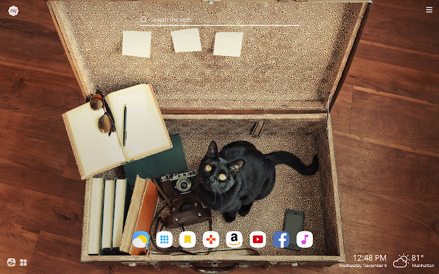 My Black Cat HD Wallpapers New Tab Theme chrome谷歌浏览器插件_扩展第3张截图