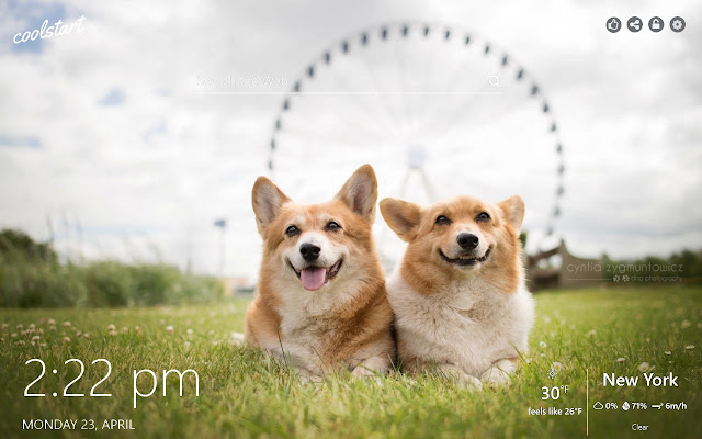 Corgi HD Wallpapers Dogs and Puppies Theme chrome谷歌浏览器插件_扩展第1张截图