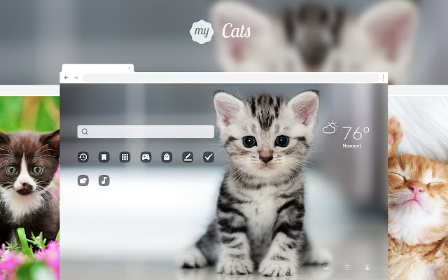 My Cats - Adorable Cat & Kitten Wallpapers chrome谷歌浏览器插件_扩展第1张截图