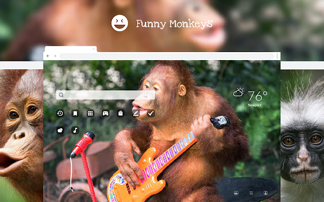 Funny Monkeys HD Wallpapers New Tab Theme chrome谷歌浏览器插件_扩展第1张截图