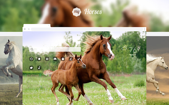 My Horses - Beautiful Horse HD Wallpaper chrome谷歌浏览器插件_扩展第1张截图