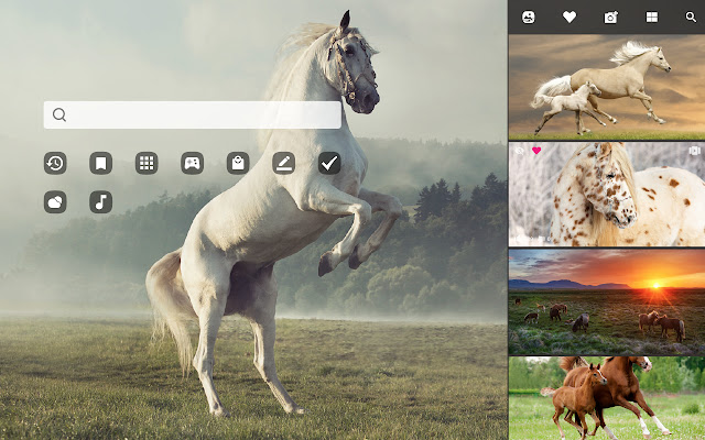 My Horses - Beautiful Horse HD Wallpaper chrome谷歌浏览器插件_扩展第2张截图