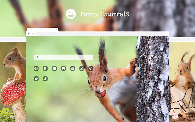 Funny Squirrels HD Wallpaper New Tab Theme chrome谷歌浏览器插件_扩展第1张截图
