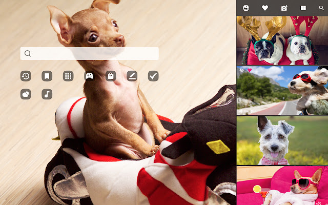 Funny Dogs & Puppies - Amusing Pet Wallpapers chrome谷歌浏览器插件_扩展第2张截图