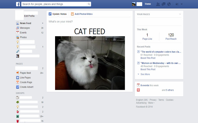 Cat Feed chrome谷歌浏览器插件_扩展第1张截图