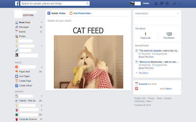 Cat Feed chrome谷歌浏览器插件_扩展第2张截图