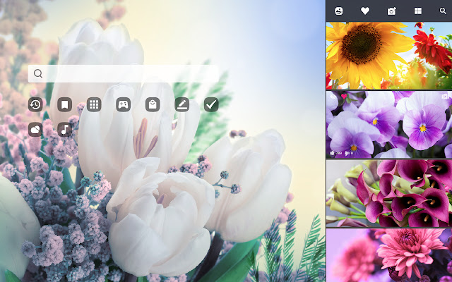 My Flowers - Romantic Flower HD Wallpapers chrome谷歌浏览器插件_扩展第2张截图