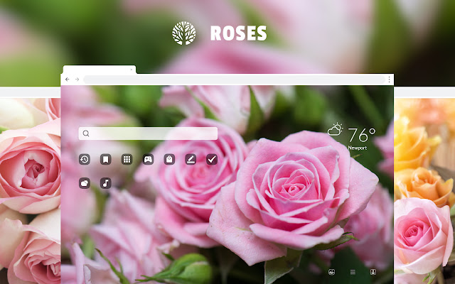 Roses - Love Flowers HD Wallpaper Theme chrome谷歌浏览器插件_扩展第1张截图