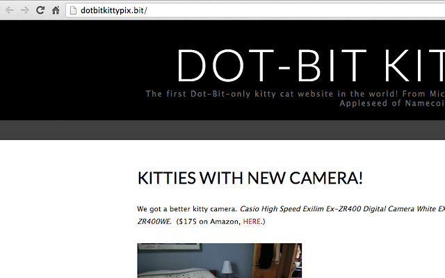 dotbit.me .bit web surfer chrome谷歌浏览器插件_扩展第3张截图