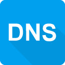 DNS lookup - HTTP status