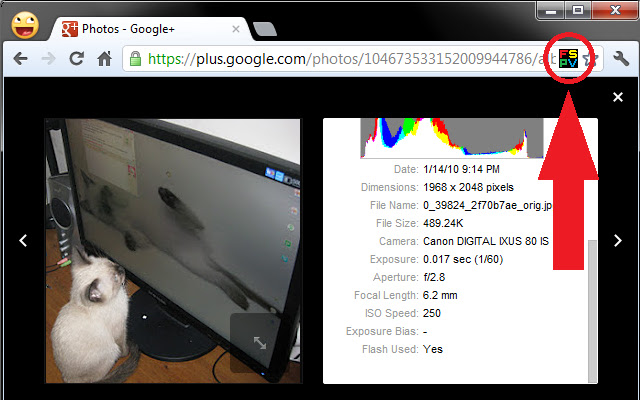 G+ Full Size Photo Viewer chrome谷歌浏览器插件_扩展第1张截图