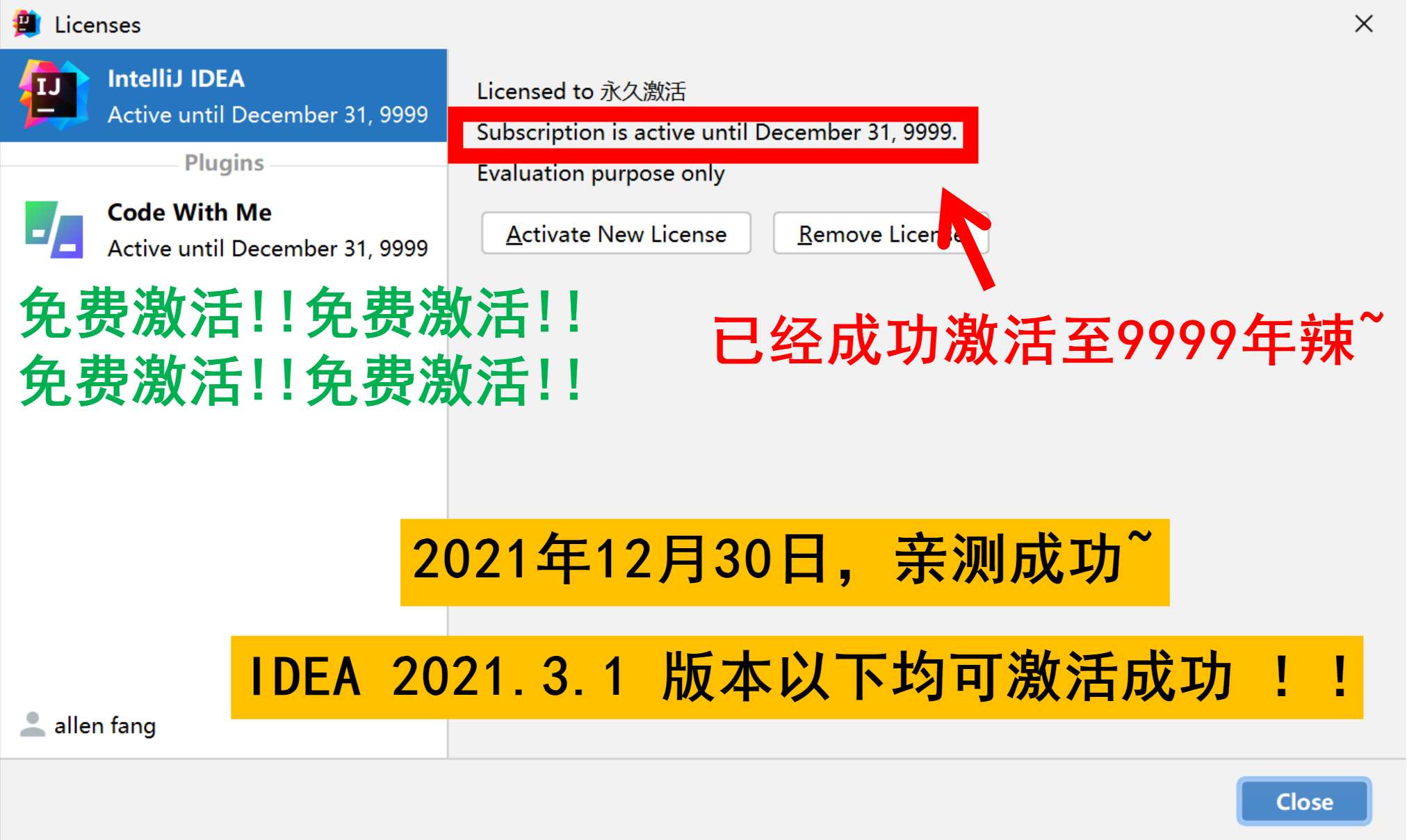 IDEA 2021.3.1 成功激活至9999年截图