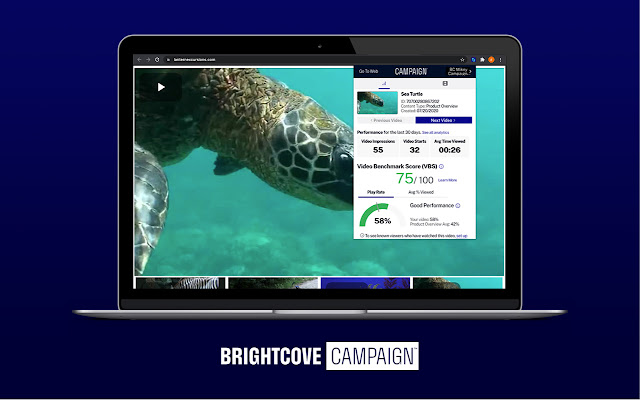 Brightcove Campaign chrome谷歌浏览器插件_扩展第2张截图