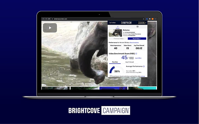 Brightcove Campaign chrome谷歌浏览器插件_扩展第3张截图