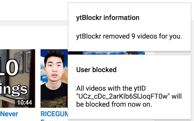 ytblockr chrome谷歌浏览器插件_扩展第3张截图